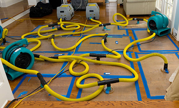 Professional Water Extraction technician working in Woodville, OH